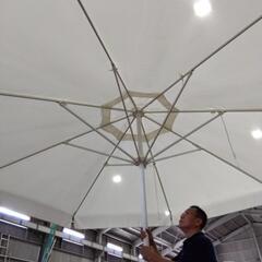 ⭐︎超デカい　パラソルの画像