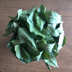 ☆ローリエ☆無農薬☆４５g☆１００枚☆乾燥☆葉☆ストレス軽減・冷...