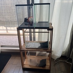 メダカ飼育セット たくさん飼育の方向け