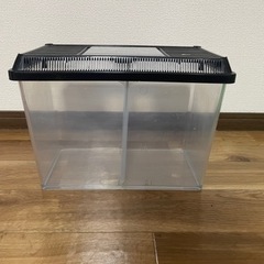 虫かご 水槽の画像