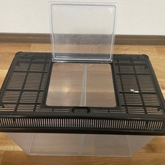 虫かご 水槽の画像