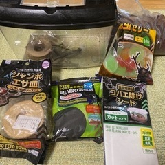 カブトムシ、クワガタムシ　飼育セット