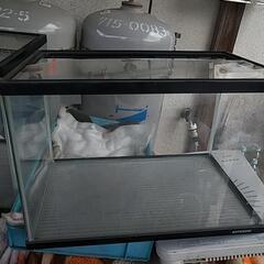 取引き中、水槽纏めて無料現状渡し