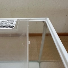 ガラス水槽35cm/その他飼育用品の画像