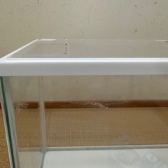 ガラス水槽35cm/その他飼育用品の画像