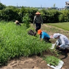 【草取り、草刈りできます】日当2500円　袖ヶ浦、木更津、君津、富津