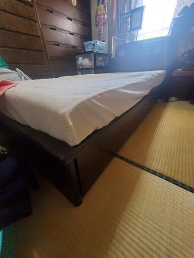 シングルベッド　シングルベット