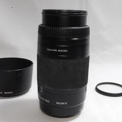 ★夏の冒険を写し撮る★SONY α 75-300mm★望遠レンズ★の画像