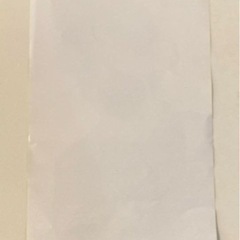 【BUDDiiS】 フライヤー MORRIE 森英寿の画像