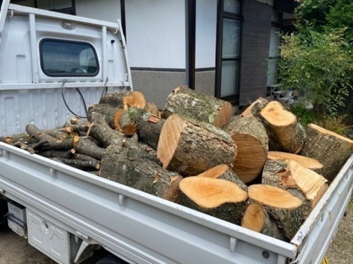 【売約済み】薪にいかがでしょうか！広葉樹丸ごとです！