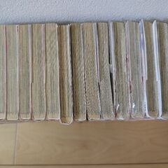 オオカミ少女と黒王子 セット100円の画像