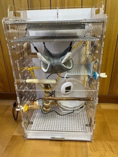 【フクロモモンガゲージ&飼育グッズ】