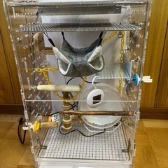 【フクロモモンガゲージ&飼育グッズ】