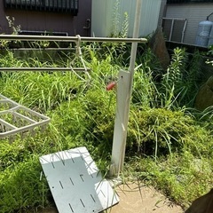 家の庭の雑草を綺麗にしてくれる方