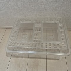 飼育ケース　まとめての画像