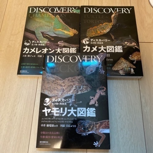 　決まりました　爬虫類　本　セット