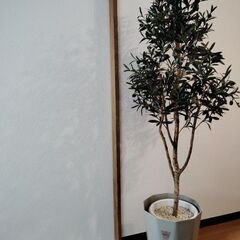 オリーブ 観葉植物 150cm お手入れいらず フェイクグリーン