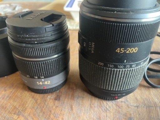 Panasonic LUMIX DMC-GH2