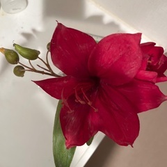 ハイビスカス　オブジェの画像