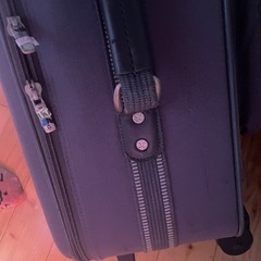 キャリーバックの画像