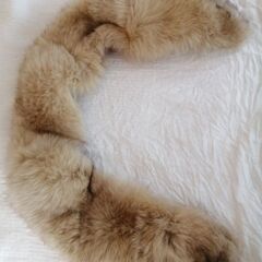 毛皮のマフラー