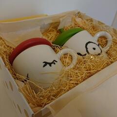 マグカップ ペア( 未使用品 )の画像