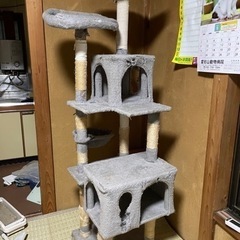決まりました