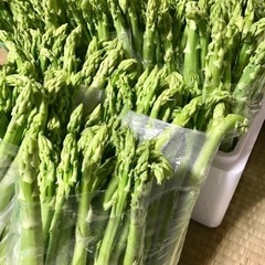 ①野菜　アスパラ　規格外　1束100円　本数は投稿文参照
