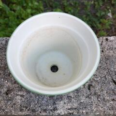 🪴⑲可愛らしい緑のチェック柄丸陶器鉢　3.5号位ですの画像