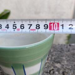 🪴⑲可愛らしい緑のチェック柄丸陶器鉢　3.5号位ですの画像