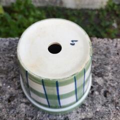 🪴⑲可愛らしい緑のチェック柄丸陶器鉢　3.5号位ですの画像