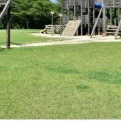 公園でも散歩しませんか