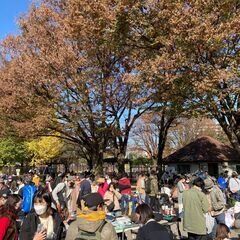 ◎２月１６日（日）「世田谷公園 フリーマーケット」開催◎
