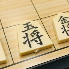 将棋 マグネット式の画像