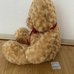 クマのぬいぐるみの画像