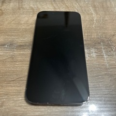 iPhone13pro