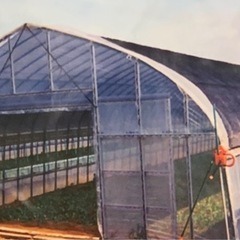 未使用シェードネット