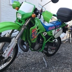 引渡し者決まりました