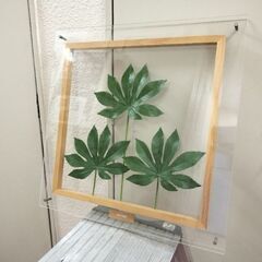 ヤツデ 飾り物 インテリア フェイクグリーン
