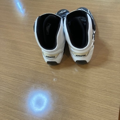 アルパインブーツ