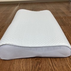 ネムゾウ枕①の画像