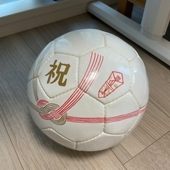 フットサルボール　室内のみ使用