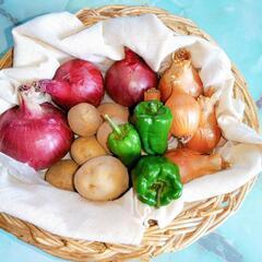 受け渡し決定【限定】 かご盛お野菜セット② の画像