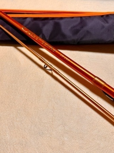 ダイワ　キャスティズム　１８ー２９５　並継　廃盤品　投げ竿