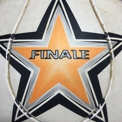 adidas‼️アディダス ‼️サッカーボール‼️チームガイスト‼️FINALE‼️フィナーレ‼️2007の画像