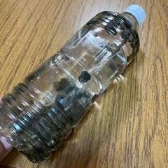 水槽　掃除　タニシ