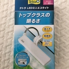 熱帯魚テトラ　LEDライト