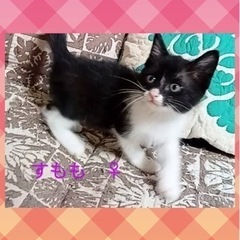 人馴れバッチリ姉妹