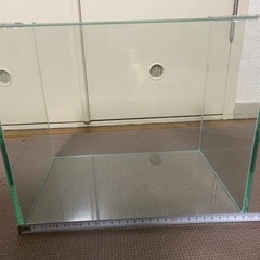 水槽の画像