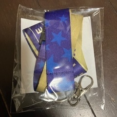 USJワンピースVIPツアー特典の画像
